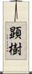 顕樹 Scroll