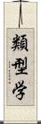 類型学 Scroll