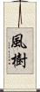 風樹 Scroll