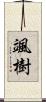 颯樹 Scroll