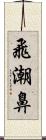 飛潮鼻 Scroll