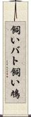 飼いバト Scroll