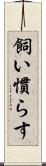 飼い慣らす Scroll