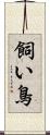 飼い鳥 Scroll
