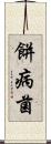 餅病菌 Scroll