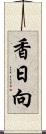 香日向 Scroll