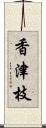 香津枝 Scroll