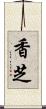 香芝 Scroll