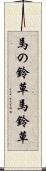 馬の鈴草 Scroll