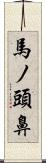 馬ノ頭鼻 Scroll