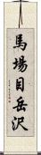 馬場目岳沢 Scroll