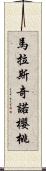 馬拉斯奇諾櫻桃 Scroll