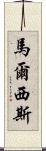 Marcisz Scroll