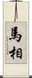 馬相 Scroll