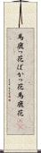 馬鹿っ花 Scroll