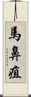 馬鼻疽 Scroll