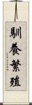 馴養繁殖 Scroll