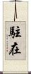 駐在 Scroll