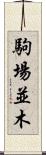 駒場並木 Scroll