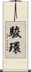 駿環 Scroll
