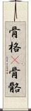 骨格(P) Scroll