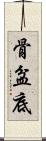 骨盆底 Scroll