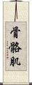 骨骼肌 Scroll