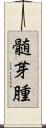 髄芽腫 Scroll