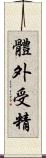 體外受精 Scroll