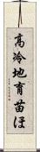 高冷地育苗ほ Scroll