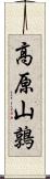 高原山鶉 Scroll