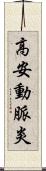 高安動脈炎 Scroll