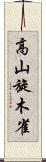 高山旋木雀 Scroll