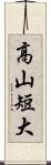 高山短大 Scroll