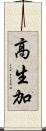 高生加 Scroll