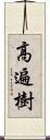 高遍樹 Scroll