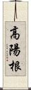 高陽根 Scroll