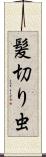 髪切り虫 Scroll