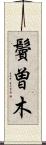 鬢曽木 Scroll