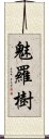 魅羅樹 Scroll