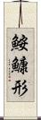 鮟鱇形 Scroll