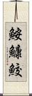 鮟鱇鮫 Scroll