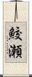 鮫瀬 Scroll