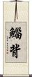 鯔背 Scroll