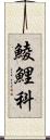 鯪鯉科 Scroll