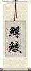 鰈鮫 Scroll