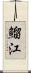 鰡江 Scroll
