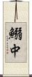 鰯中 Scroll