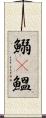 鰯(P) Scroll