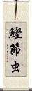 鰹節虫 Scroll